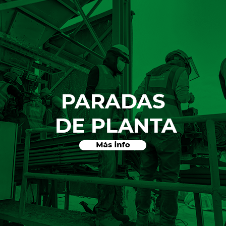 Paradas de planta